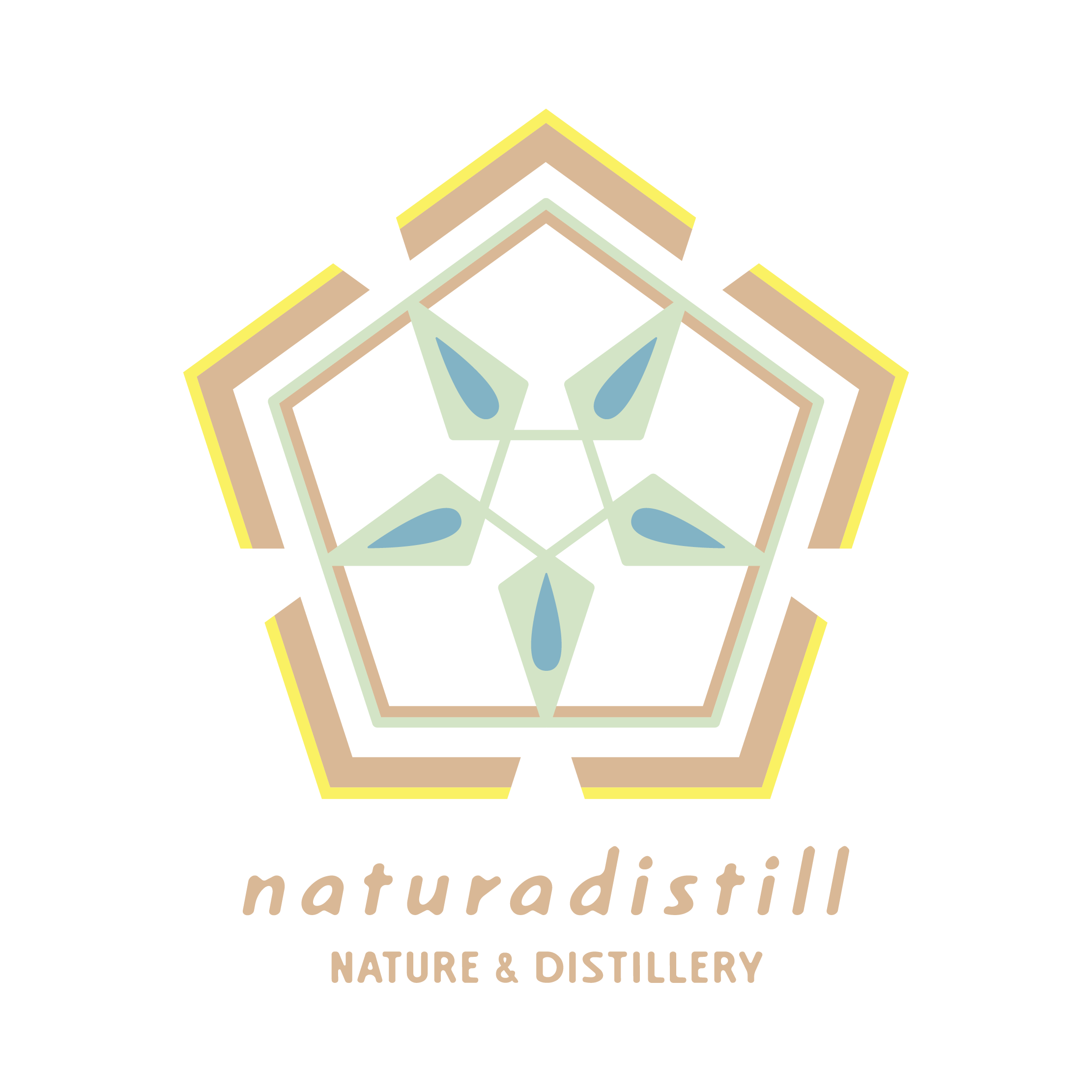 371513148_2346682018863963_7860643915303649749_n (1).png